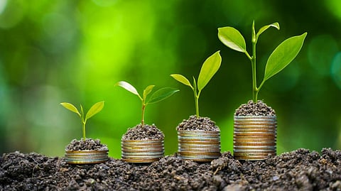 Photo: iStock