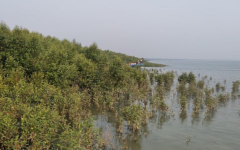 Sundarbans is situated in the Ganga-Brahmaputra-Meghna (GBM) delta and depends on the tidal rivers and mangroves. Photo: Rangeet Mitra