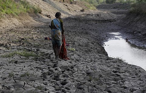Marathwada saw a string of drought years between 2012 and 2018. File photo: CSE