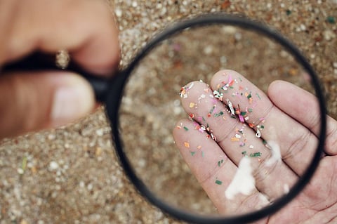 Several studies have demonstrated that MNPs enter the human body via ingestion, inhalation, and skin contact, where they interact with tissues and organs. Photo: iStock