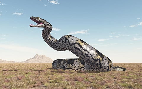 A computer-generated illustration with the prehistoric giant snake Titanoboa, considered the largest snake ever found. The researchers believe Vasuki indicus rivalled it in size. Photo: iStock