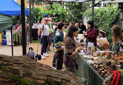 The Earth Market in Bogotá, Colombia. photo: Mercado de la Tierra Slow Food Bogotá / Facebook