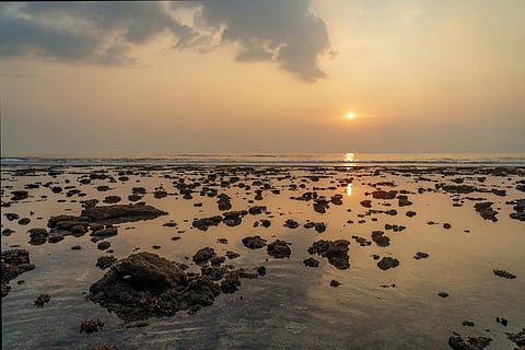 Corals exposed during low tide at Kavaratti island, Lakshadweep. Photo for representation: iStock