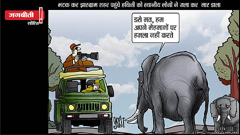 जगबीती: हाथी का कसूर क्या?