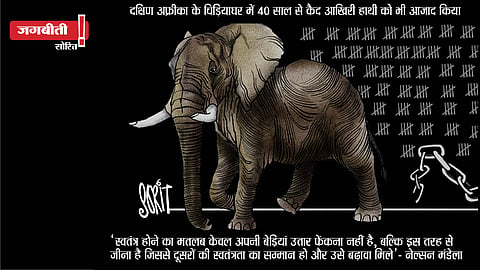 कार्टून: सोरित गुप्तो