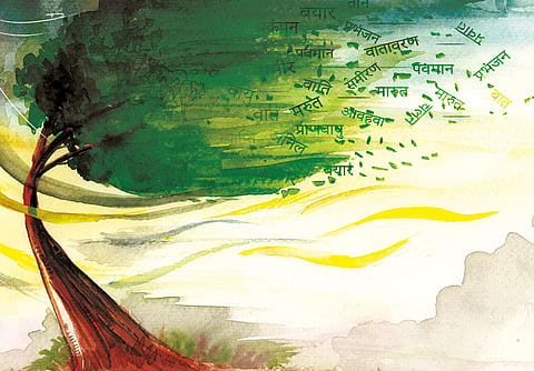 जहरबुझी हवा: एयरशेड में है वायु प्रदूषण का ठोस इलाज