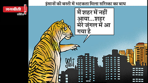जग बीतीः जब शहर पहुंचा बाघ!