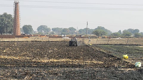 श्योपुर में धान का रकबा बढ़ने से जिला 2024 में पराली में आग की घटनाओं के मामले में पहले स्थान पर आ गया। बड़ौदा ब्लॉक में ऐसा ही एक जला हुआ खेत
