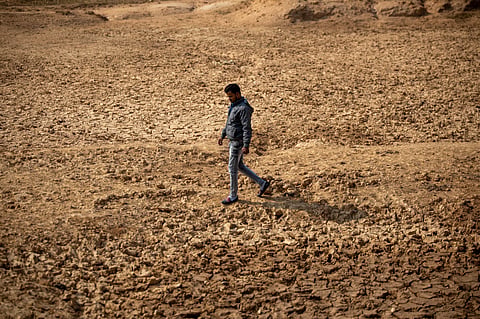 dry winter