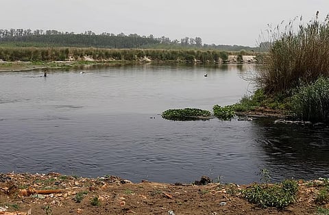 लुधियाना से सतलुज तक बहने वाला 40 किलोमीटर लंबा धारा बुढ्ढा नाला औद्योगिक कचरे और नगर निगम के कचरे से बुरी तरह प्रदूषित हो गई है, जिससे पानी काला हो गया है और दुर्गंध आ रही है। विकास चौधरी / सी.एस.ई.