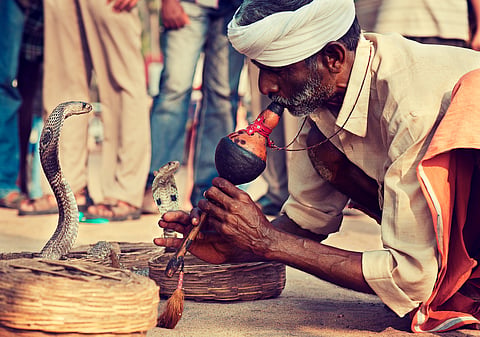 Photo: Istock