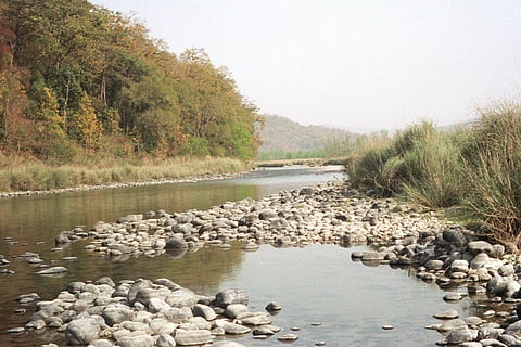 फोटो: विकिपीडिया
