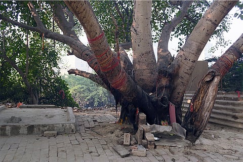 प्रतीकात्मक तस्वीर: आईस्टॉक