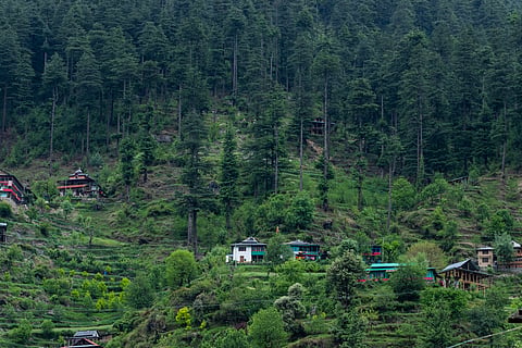प्रतीकात्मक तस्वीर। आईस्टॉक