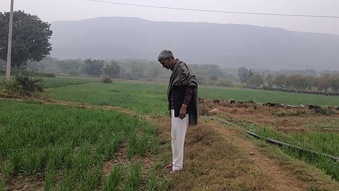 नांगलहेड़ी गांव के मुकेश कुमार गुर्जर ने इस साल रासायनिक उर्वरकों का इस्तेमाल नहीं किया है। फोटो: भागीरथ/सीएसई