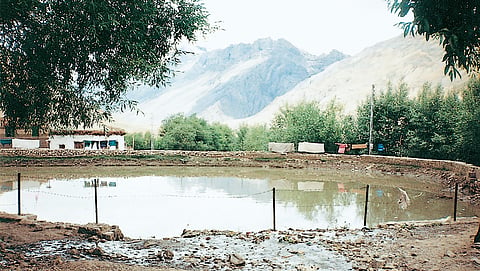 कजा गांव का एक तालाब, जिसमें  ‘कुल’ का पानी आकर जमा होता है और  जरूरत के अनुसार इसमें से पानी लिया जाता है