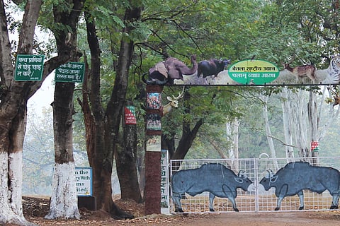 फोटो: विकीमीडिया कॉमन्स