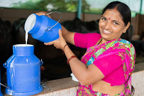 देश में लगभग 70 से 90 प्रतिशत डेयरी कार्य महिलाएं करती हैं, फिर भी उनकी औपचारिक पहचान सीमित है।