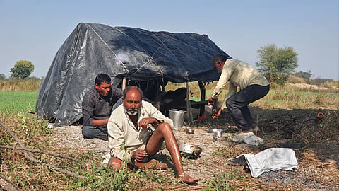 छतरपुर जिले के पठा गांव के किसान दिन रात खेत में ही रहकर जानवरों से अपनी फसल बचाने में लगे रहते हैं। सभी फोटो: भागीरथ