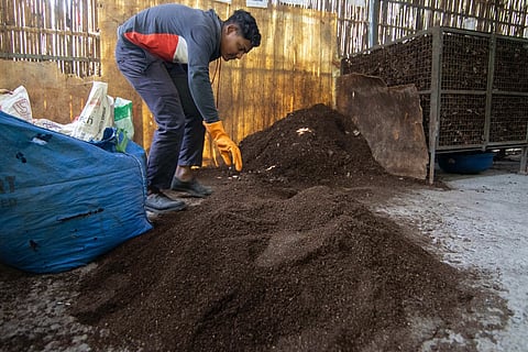 हरियाणा के गुरुग्राम में एक कम्पोस्ट प्लांट में जैविक कचरे से बन रही खाद; फोटो: विकास चौधरी/सेंटर फॉर साइंस एंड एनवायरमेंट  