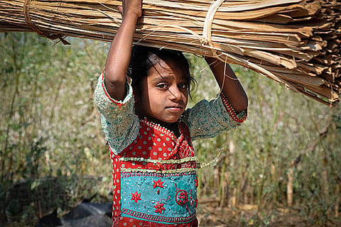 शिक्षा और गरीबी उन्मूलन में निवेश बढ़ाए बिना बाल श्रम रोकना मुश्किल है, लाखों बच्चे अभी भी खतरे में हैं।
