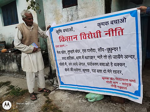 ऑस्कर तक पहुंची कहानी के नायक विद्या दत्त शर्मा आज भी संघर्षरत हैं। सफल पर्वतीय खेती का प्रतीक बने यह किसान अब अपने बाग को जंगली जानवरों से बचाने के लिए अकेले आवाज उठाने को मजबूर हैं।
फोटो : राजू सजवान