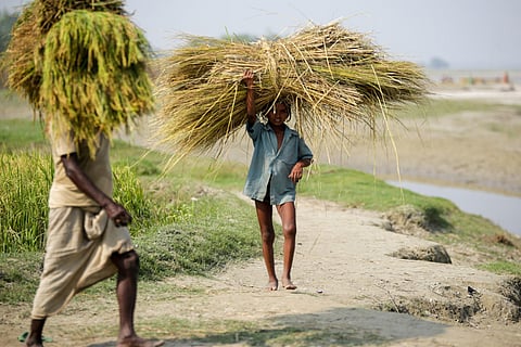 प्रतीकात्मक तस्वीर: सेंटर फॉर साइंस एंड एनवायरमेंट