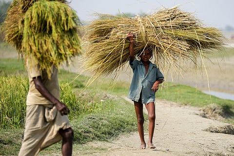 रिपोर्ट ने चेताया है कि अगर दुनिया में चल रहे मौजूदा संकट, युद्ध और बाजारों की उथल-पुथल इसी तरह जारी रही, तो इस बात की करीब 25 फीसदी आशंका है कि 2035 तक किसानों की आमदनी बढ़ने के बजाय आज के स्तर से भी नीचे गिर जाएगी। यानी मेहनत दोगुनी होगी, लेकिन जेब और खाली हो जाएगी। फोटो: सेंटर फॉर फॉर साइंस एंड एनवायरमेंट 