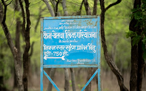 मध्य प्रदेश के पन्ना टाइगर रिजर्व के अंदर ढोढन गांव के पास केन-बेतवा नदी जोड़ो परियोजना का बिलबोर्ड। फोटो: ध्रुवल पारेख

