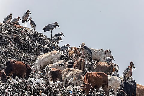 प्रतीकात्मक तस्वीर: आईस्टॉक