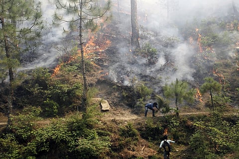 उत्तराखंड के जंगलों में धधकती आग; फोटो: सेंटर फॉर साइंस एंड एनवायरमेंट (सीएसई)