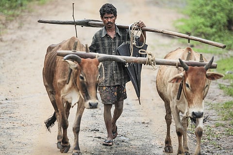 किसानों के सामने पहले से महंगे उर्वरक और ईंधन की समस्या है, ऐसे में मौसम की मार संकट को और गहरा कर सकती है। फोटो: आईस्टॉक