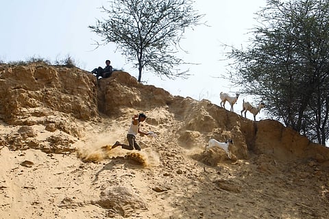 अरावली पर्वतमाला; फोटो: सेंटर फॉर साइंस एंड एनवायरमेंट (सीएसई)