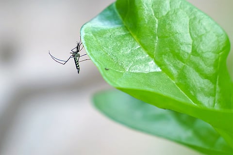 फोटो: आई स्टॉक