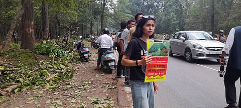ऋषिकेश के सात मोड़ में चार हजार से ज्यादा पेड़ों के बचने की उम्मीद बढ़ी