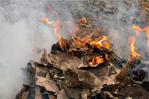 प्रतीकात्मक तस्वीर: आईस्टॉक