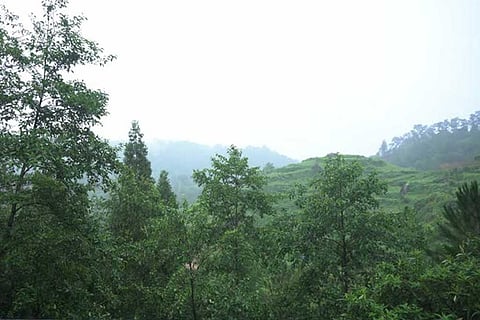 असम, मेघालय, मिजोरम, त्रिपुरा समेत पूर्वोत्तर राज्यों में भारी बारिश का अनुमान, कई इलाकों में येलो अलर्ट जारी किया गया।