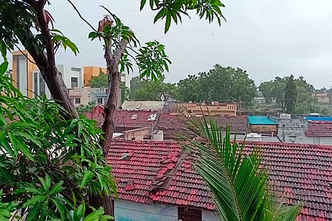 राजस्थान में 22 प्रतिशत कम बारिश हुई, भरतपुर, जयपुर और धौलपुर में अधिक बारिश, जबकि सिरोही में 46 प्रतिशत कमी दर्ज हुई।