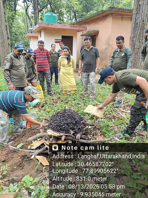 साल बोरर कीटों को नष्ट करते हुए वन अधिकारी, फोटो : वर्षा सिंह