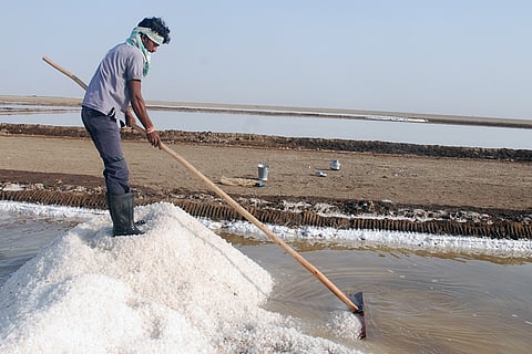 प्रतीकात्मक तस्वीर: सेंटर फॉर साइंस एंड एनवायरमेंट