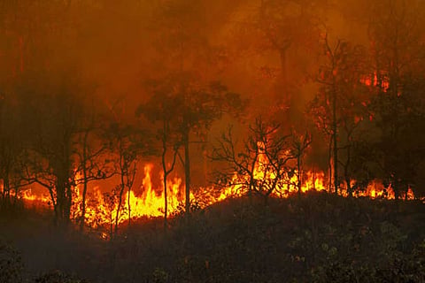 बढ़ती गर्मी, सूखा और जंगलों की आग ने अमेजन को खतरनाक टिपिंग पॉइंट की ओर धकेलने की आशंका बढ़ाई।