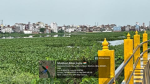 बिहार: पूर्वी चंपारण की मोतीझील, क्यों अदालत को बार-बार करना पड़ता है हस्तक्षेप