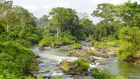 Ivory Coast Joins UN Water Convention to Tackle Climate Change and ...