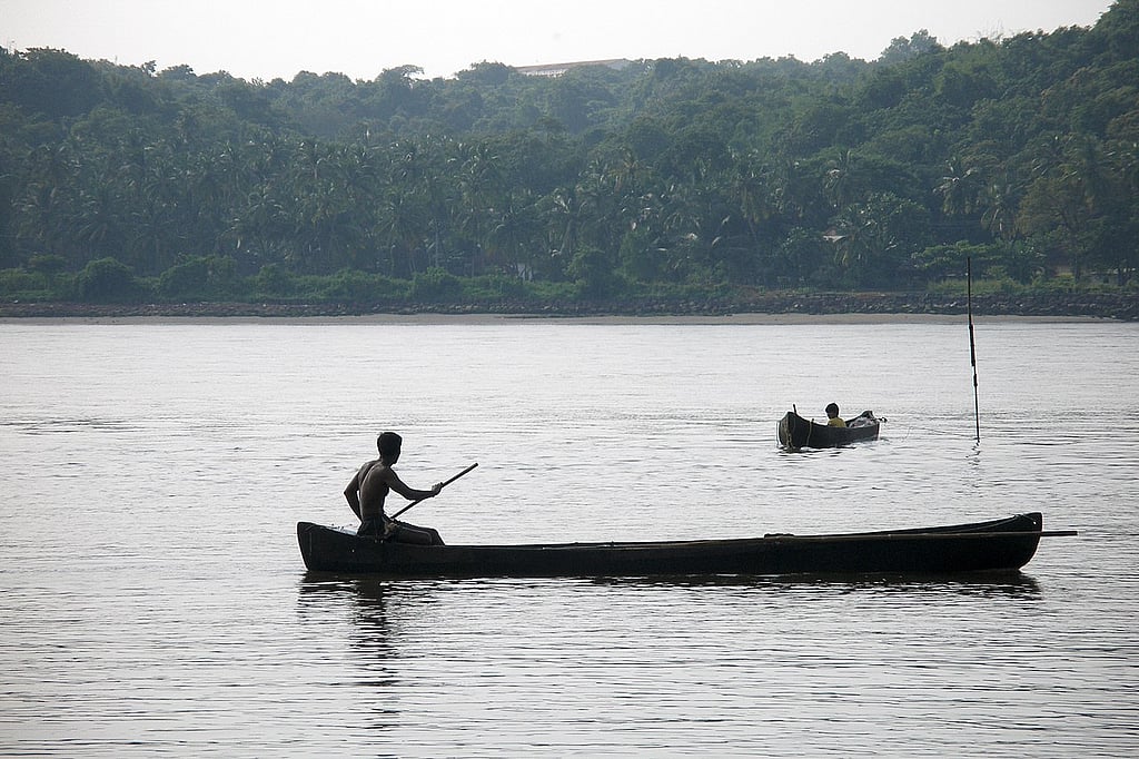 Karnataka Pushes for Mahadayi Project as Wildlife Board Reconsiders ...