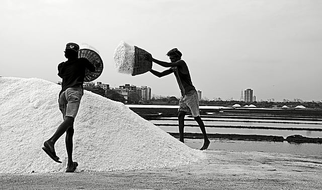 The Hidden Costs of Salt: Unseen Suffering of Gujarat's Salt Pan Workers
