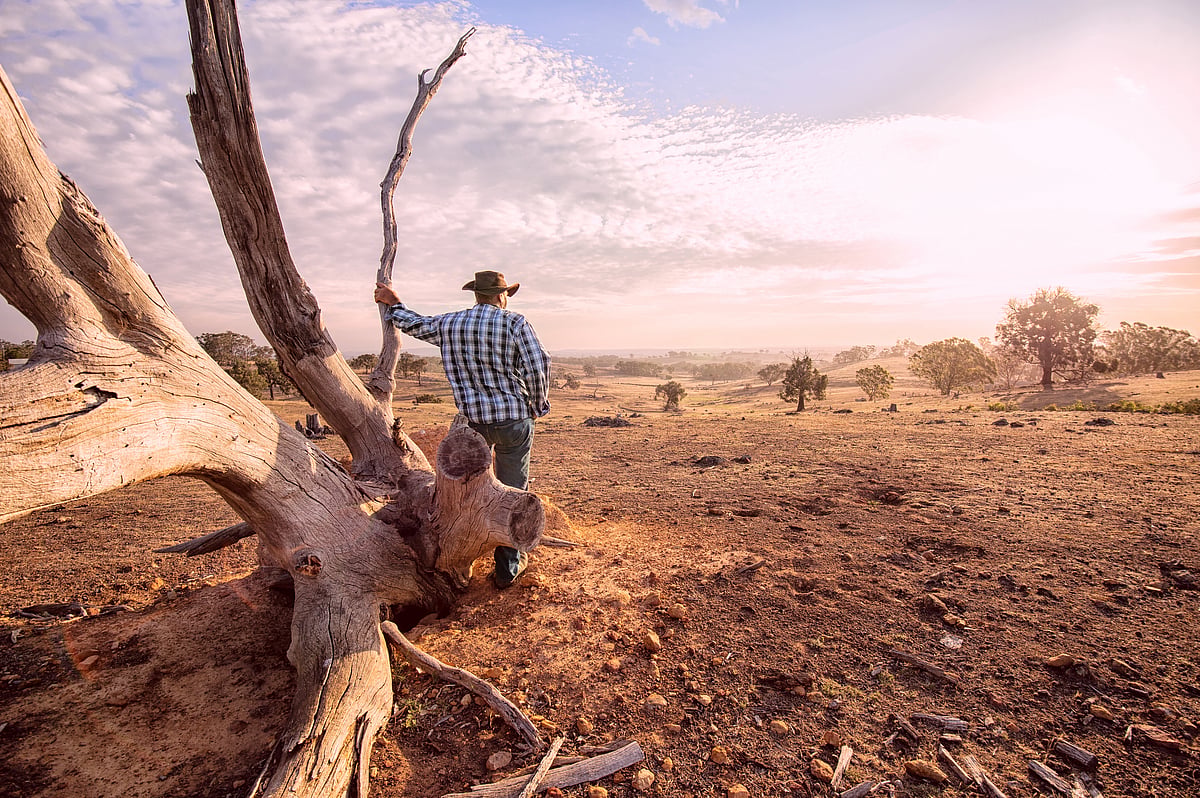 UNCCD COP16 Summit in Riyadh: Tackling Desertification and Drought