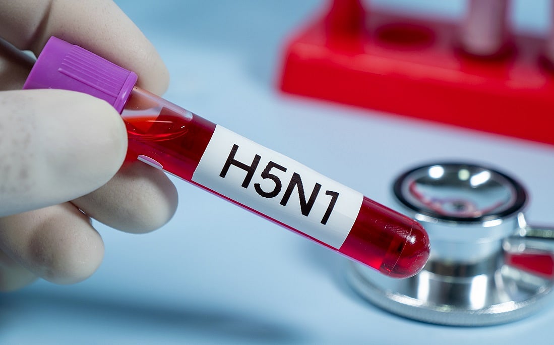 H5N1 Bird Flu: One Mutation Away from Human-to-Human Transmission ...