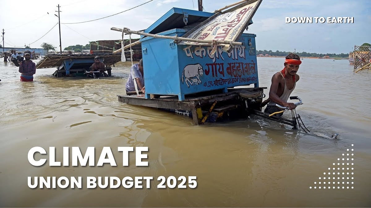 Union Budget 2025-26: Is India Doing Enough to Combat Climate Change?