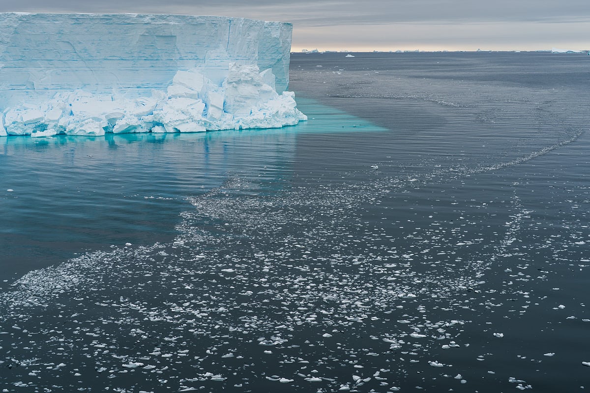 Discovery of Vibrant Deep-Sea Ecosystem Beneath Antarctic Glacier ...