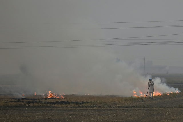 UN Report: India Emerges as Methane Hotspot Due to Crop Burning